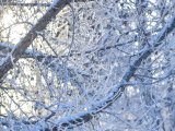 Погода в Набережных Челнах на 15 февраля