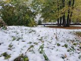В Татарстане ожидается кратковременная метель с ухудшением видимости до 1-2 км