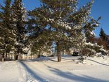 Погода в Набережных Челнах на 16 января