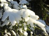 Яр Чаллыда -11..-14˚ көтелә