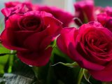 Ветераны Автозаводского района получают поздравления