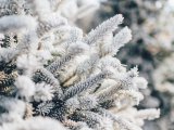 В Набережных Челнах прогнозируется -13..-16˚