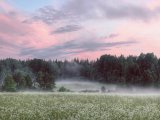 Прогноз погоды в Набережных Челнах на 16 августа