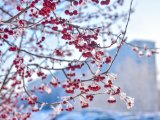 Яр Чаллыда 25 февральгә һава торышы