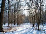 Погода в Набережных Челнах 2 февраля