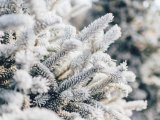 Прогноз погоды на 5 января