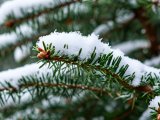 Прогноз погоды на 8 января