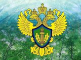 Челнинцев приглашают на прием граждан по вопросам охраны окружающей среды