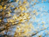 Прогноз погоды на 8 апреля