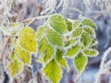 Прогноз погоды в Набережных Челнах на 10 января