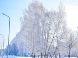 В Татарстане ввели временное ограничение движения для автобусов и грузовых автомобилей
