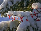 Прогноз погоды на 8 февраля