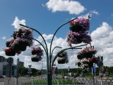 Прогноз погоды на 13 августа