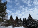 Һава торышы фаразы