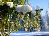 Прогноз погоды на 28 февраля