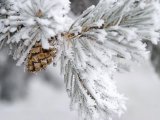 Прогноз погоды в Набережных Челнах на 28 января