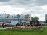 Метеорологический прогноз на завтра