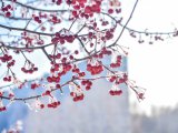 Погода в Набережных Челнах на 7 марта