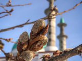 Прогноз погоды на 29 марта