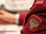 Роспотребнадзор Чаллы эшмәкәрләр өчен "Ачык ишекләр" көне оештыра