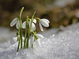 Прогноз погоды в Набережных Челнах на 24 февраля