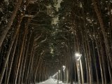 Яр Чаллыда 5 мартка һава торышы
