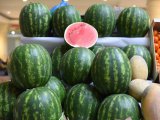 Яр Чаллыда законсыз карбыз һәм кавын саткан өчен 930 беркетмә төзелде