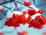 Прогноз погоды на 12 января