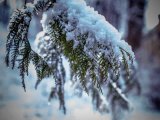 Прогноз погоды в Набережных Челнах на 31 января