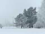 Прогноз погоды на 10 февраля