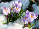 Прогноз погоды в Набережных Челнах на 4 марта