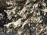 Погода в Набережных Челнах на 21 декабря