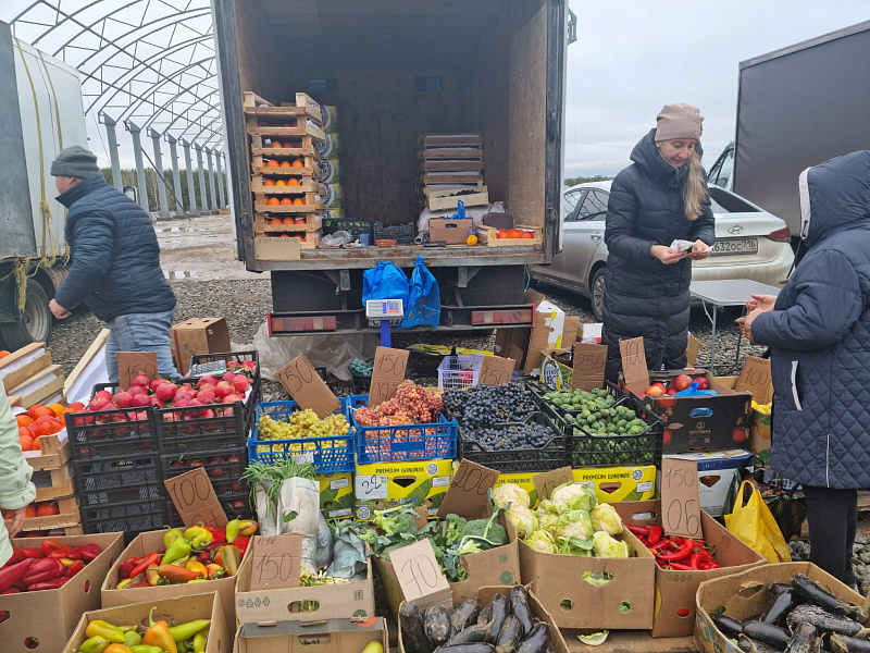 На ярмарках Челнов представлено свыше 870 тонн сельскохозяйственной продукции