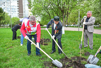 A living symbol of Victory: a veteran grew seedlings with his own hands and planted them by the Heroes' Alley