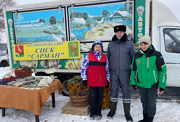 На ярмарки Челнов завезли свыше 323 тонн продукции