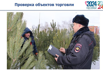 За вырубку елей предусмотрен административный штраф