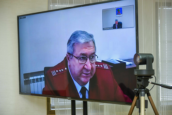 В Набережных Челнах усилят контроль над безнадзорными животными