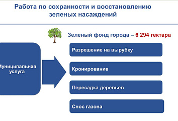 Зеленый фонд Набережных Челнов составляет 6 294 гектара