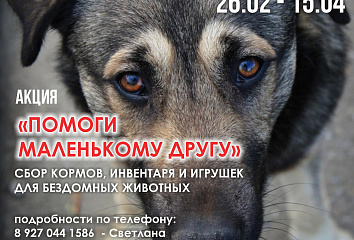 В Челнах стартовала акция «Помоги маленькому другу»