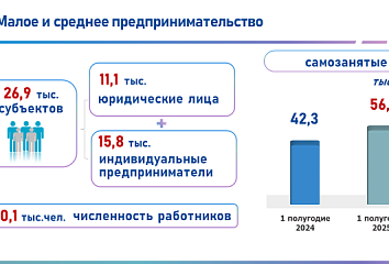 В Набережных Челнах оборот малого и среднего бизнеса превысил 328 миллиардов рублей