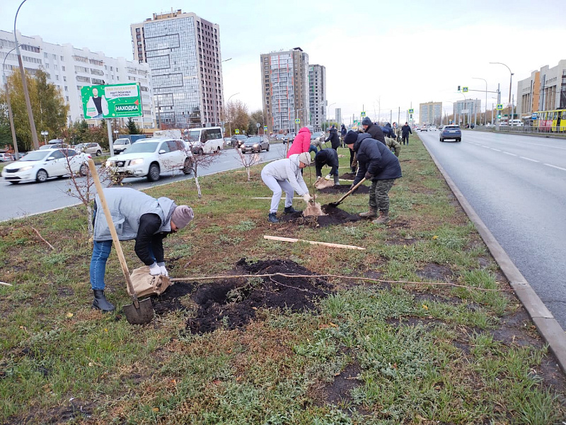 В Челнах растет количество деревьев