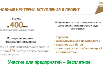 32 челнинских предприятия участвуют в нацпроекте «Производительность труда и поддержка занятости»