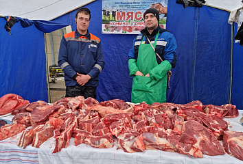 На челнинские ярмарки завезли свыше 1300 тонн продукции