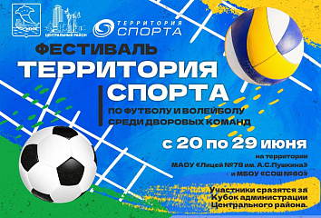 В Челнах пройдет фестиваль «Территория спорта»