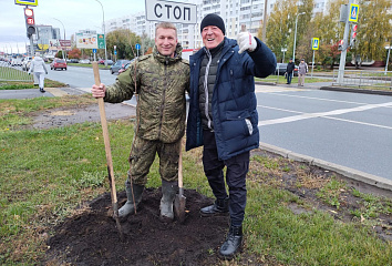 В Челнах растет количество деревьев