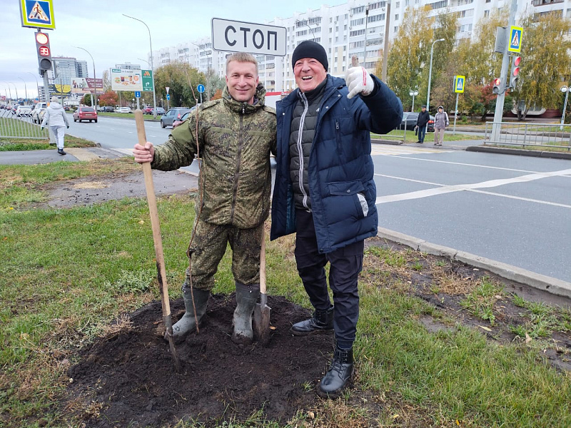 В Челнах растет количество деревьев