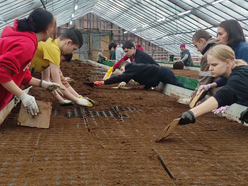 Students of correctional school No. 68 have started working at the Gorzelenkhoz enterprise