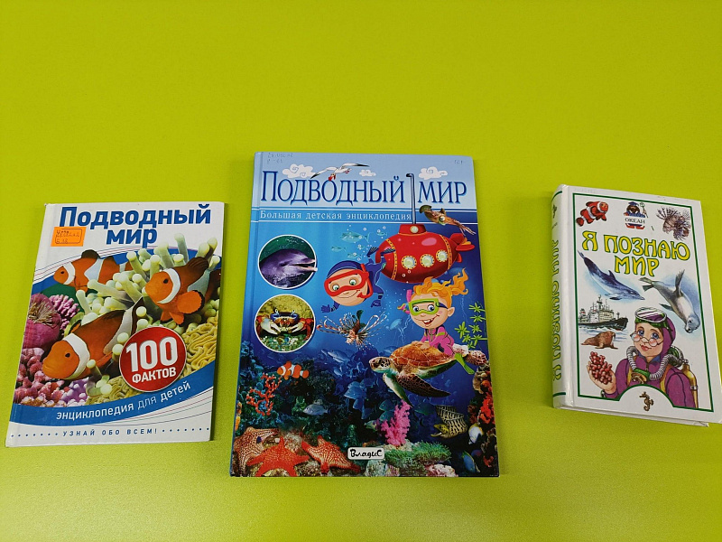 «Төпсезлек сере» китап күргәзмәсе