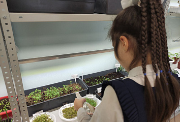The "Navigator" project has launched in Naberezhnye Chelny