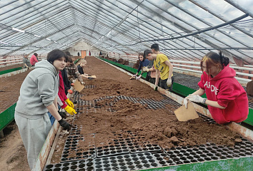 Students of correctional school No. 68 have started working at the Gorzelenkhoz enterprise